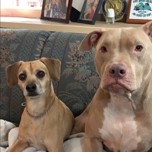 Meet your Posher, Holly